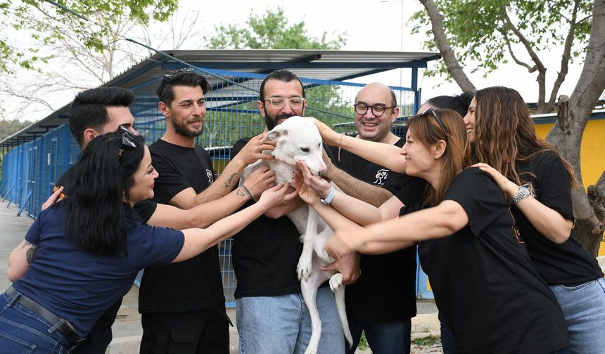 KUŞADASI’NDA CAN DOSTLARINA DEV DESTEK" 3 TON MAMA BAĞIŞI"