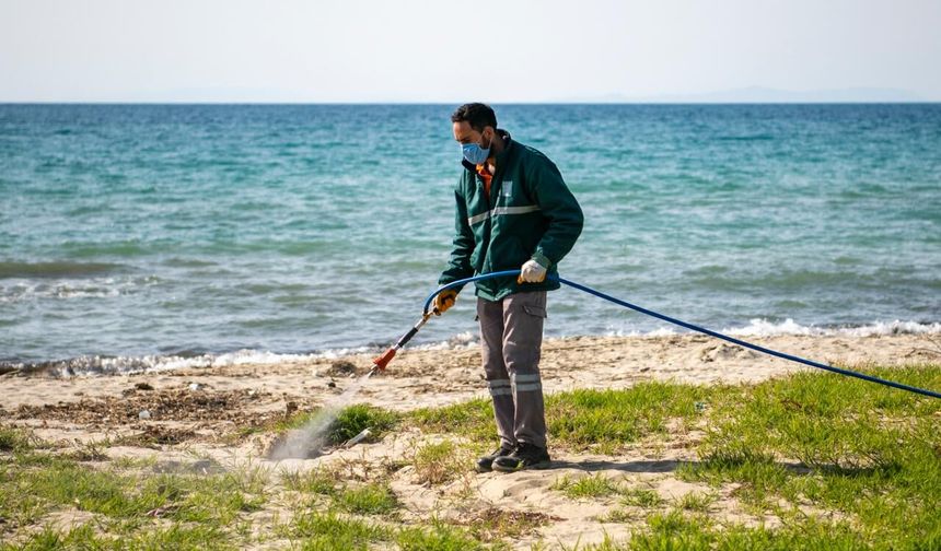 GÜZELÇAMLI’DAN KUŞTUR’A KIYI ŞERİDİNDE YOĞUN MESAİ