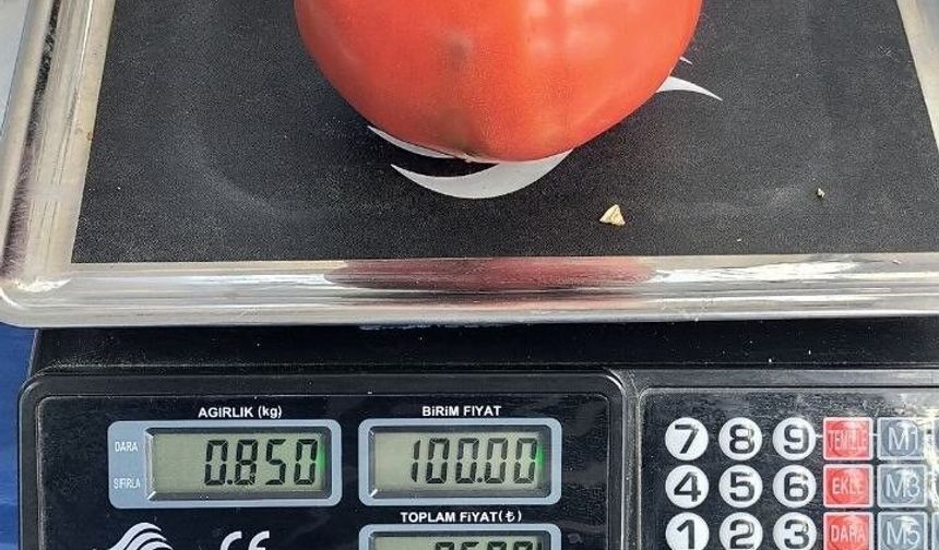 Aydın'da 850 gramlık domates pazarda ilgi gördü