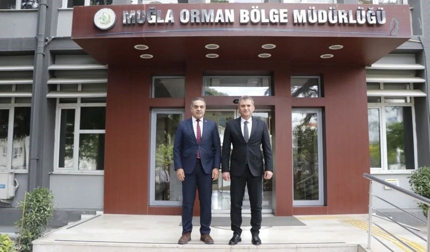 Aydın'da kestane ağaçları biyolojik mücadele ile korunuyor