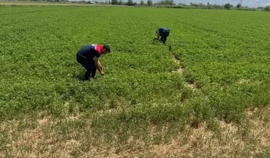Aydın'da kuraklıkla mücadele çalışmaları sürüyor