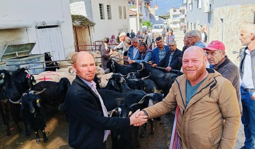 Bozdoğan Yazıkent'te Kurban Pazarı hareketlendi