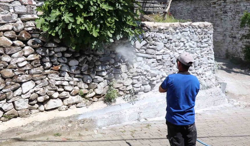 Bozdoğan'da haşereye karşı kireçleme çalışmaları sürüyor