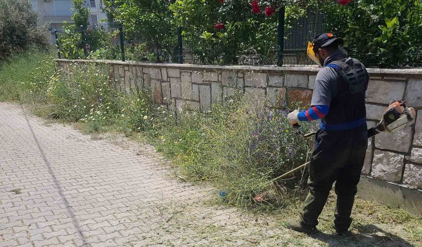 Didim Belediyesi ekipleri ilçe genelinde çalışmalarını sürdürüyor