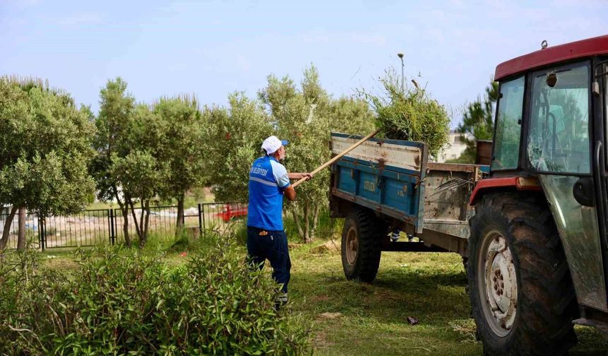 Didim Belediyesi'nden okullarda ot biçme ve çevre düzenleme çalışması