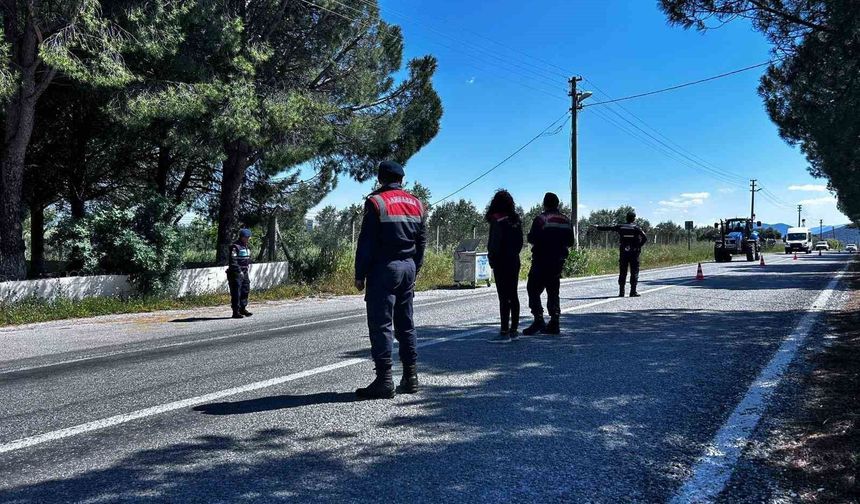 Didim'de kurbanlık denetimi