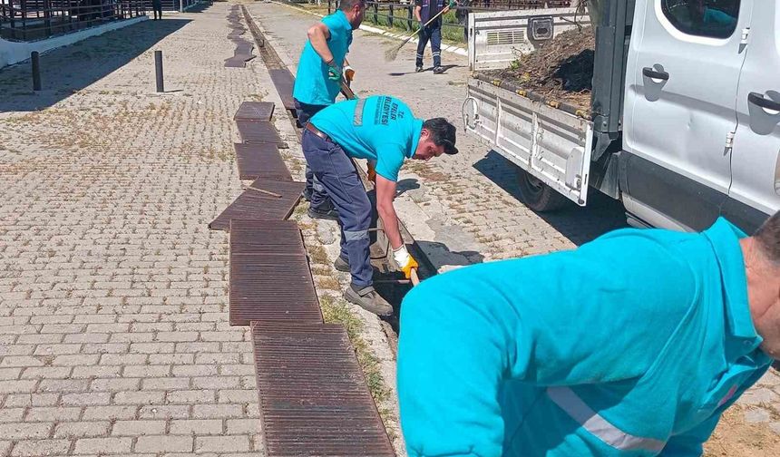 Hayvan pazarında bayram mesaisi başladı