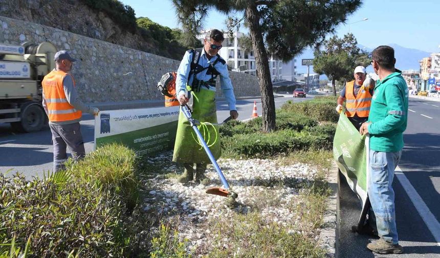 Kuşadası'nda bayram öncesi refüjler bakıma alındı