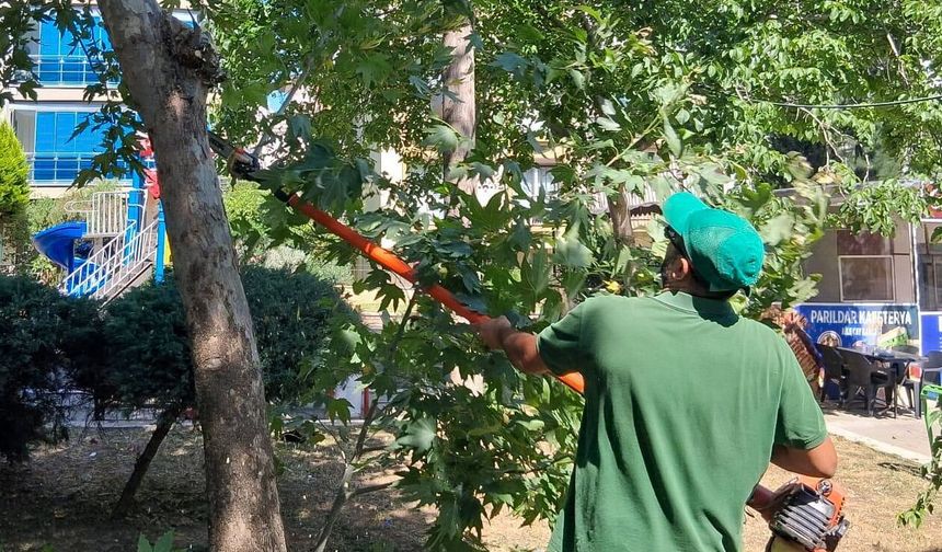 BAŞKAN YETİŞKİN ÇALIŞIYOR " EFELER’İN PARK VE YEŞİL ALANLARINDA HEM ESTETİK HEM GÜVENLİK  ARTIYOR"
