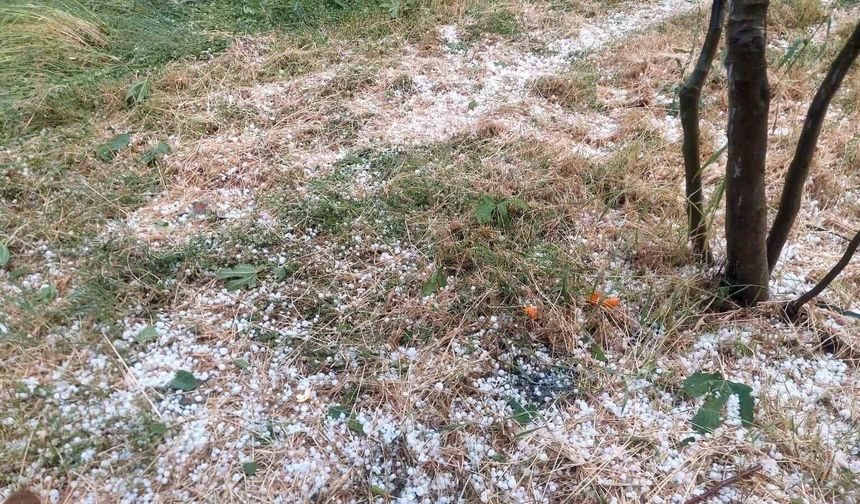 Aydın'da dolu etkili oldu, ağaçlar zarar gördü