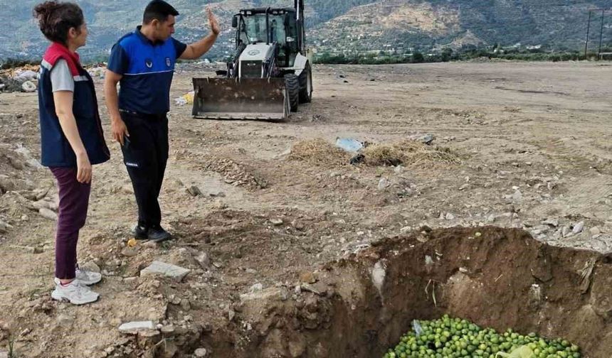 Bozdoğan'da hastalıklı ilekler imha edildi