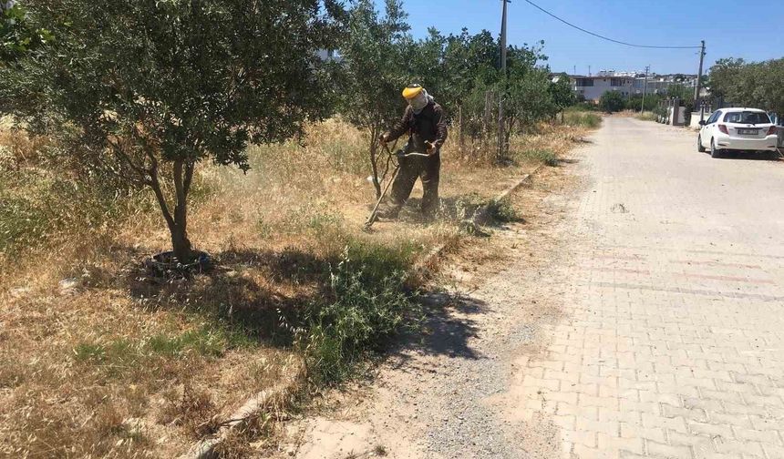 Didim Belediyesi yeşil alanlarda bakım çalışmalarını sürdürüyor