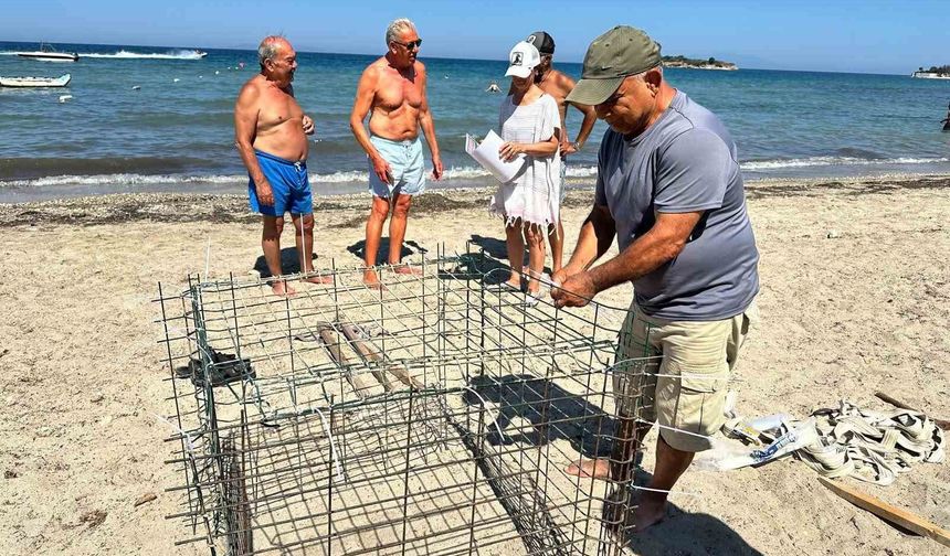 Didim'de ikinci caretta yuvası koruma altına alındı