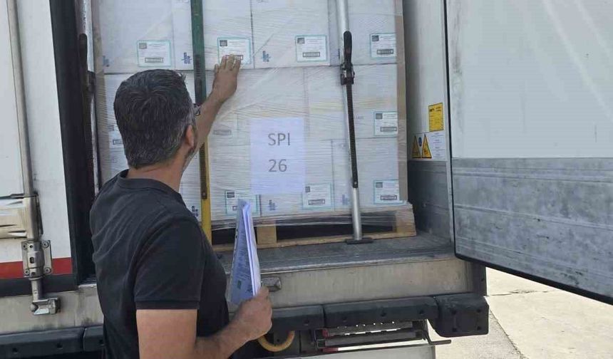 Didim'in balıkları, İngiltere yolcusu