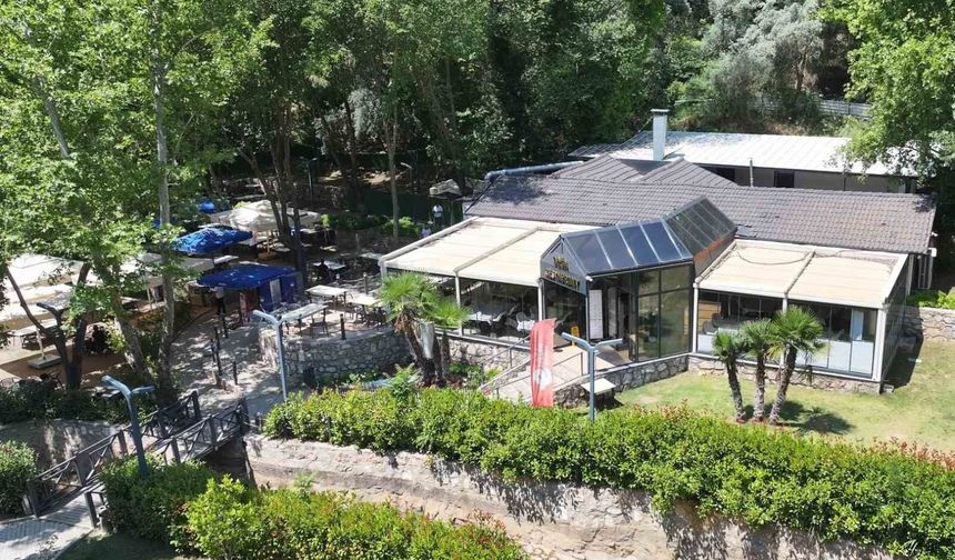EFELER BELEDİYESİ’NİN DOĞA KAHVALTISI VATANDAŞLARIN GÖZDESİ OLDU