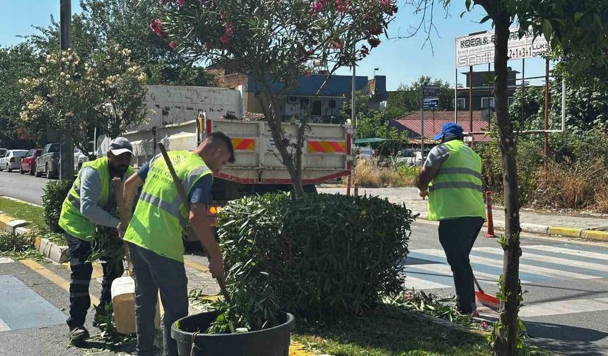 Efeler'de yeşil alanlar Büyükşehir ekipleriyle yenileniyor