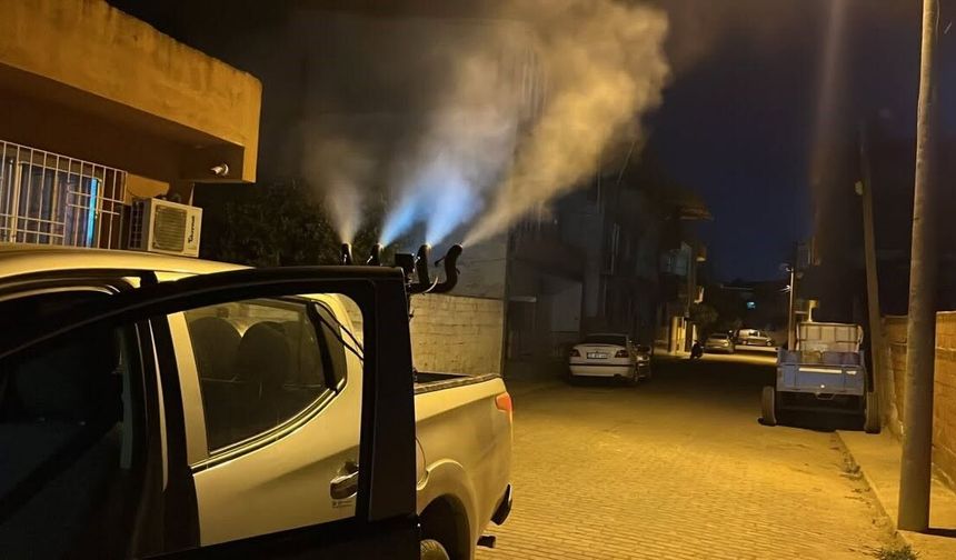 Germencik'te sivrisinek ve haşerelere karşı gece ilaçlaması