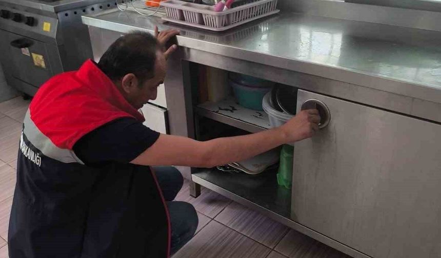 Köşk İlçe Tarım denetimlerini sürdürüyor
