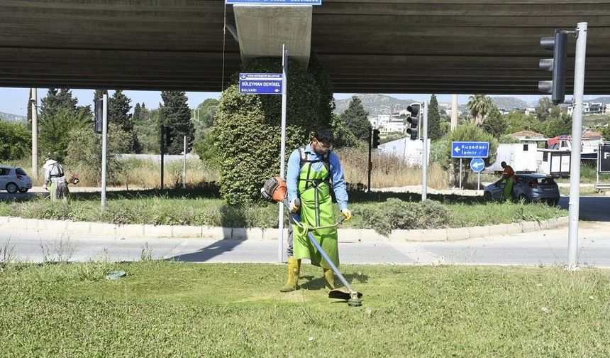 Kuşadası'nda yeşil alanlar bakıma alındı