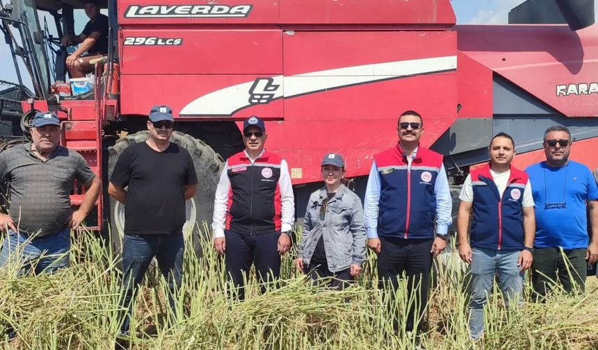 Söke'de kanola hasadı gerçekleştirildi
