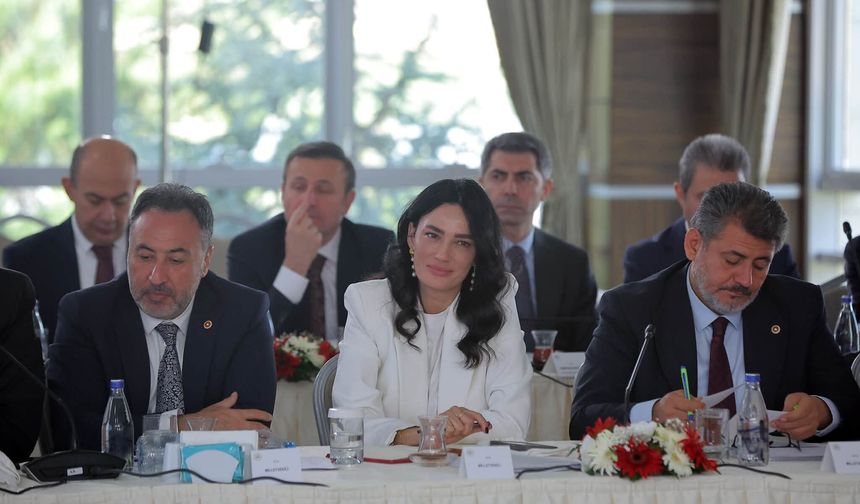 AK Partili Sarıbaş Ankara'daki İstişare Toplantısına Katıldı