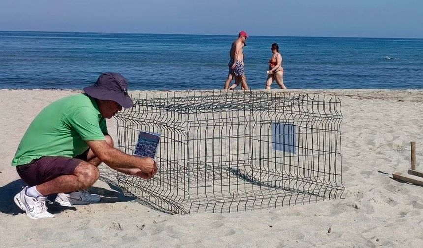 Duyarlı gençlerin ihbarı sayesinde, caretta yuvası koruma altına alındı