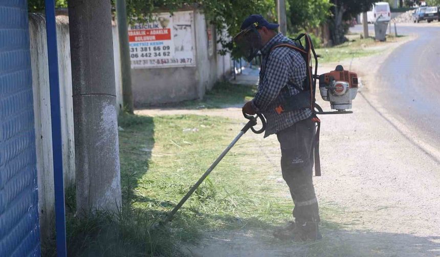 Koçarlı Belediyesi'nden Şahinciler'de çevre mesaisi