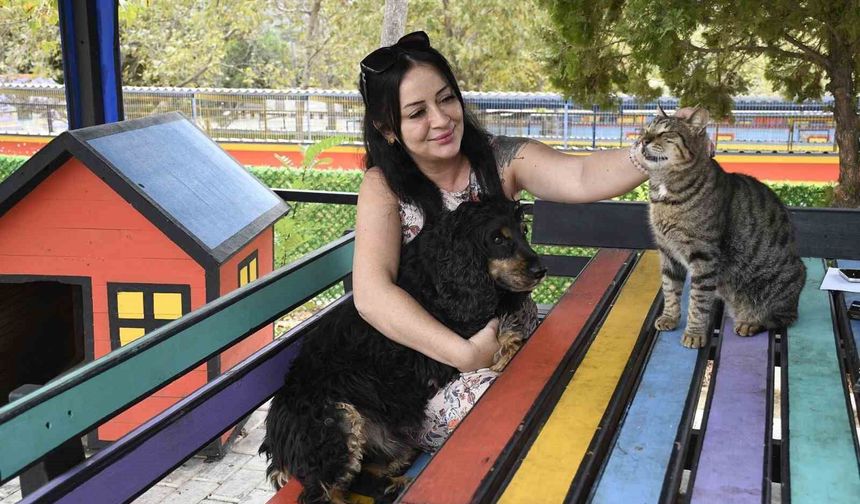Kuşadası Belediyesi 3 bin 518 sokak hayvanını ömürlük yuvasına kavuşturdu