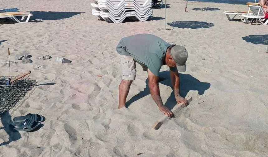 Kuşadası'nda caretta carettalardan umutlandıran yuva