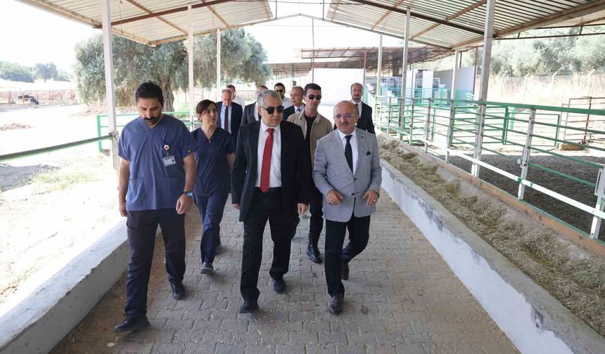 ADÜ Rektörü Kent, Ziraat Fakültesi'nde incelemelerde bulundu