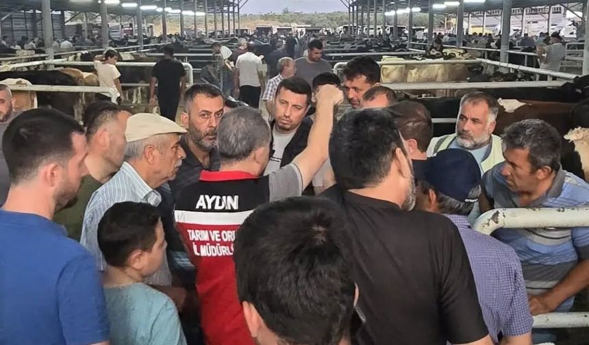 Aydın'da hayvan pazarlarında sıkı denetim