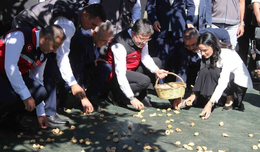 Bakanı Yumaklı Aydın'da incir hasadına katıldı