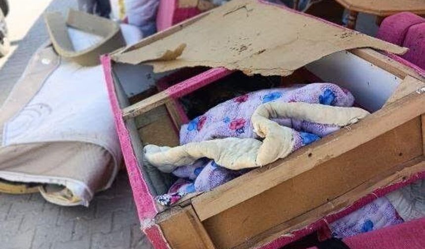 Başkan Zencirci'den Germenciklilere 'temiz çevre' çağrısı