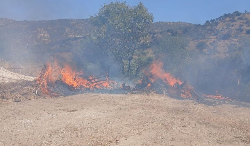 Bir evin bahçesindeki zeytinlik alanda çıkan yangın kısa sürede söndürüldü