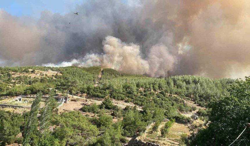 Çine'deki orman yangını tamamen kontrol altına alındı