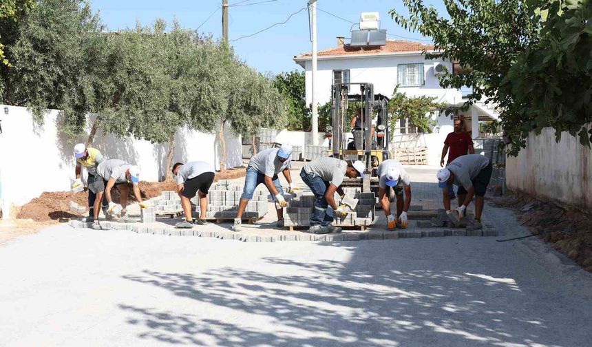 Didim Belediyesi'nden Denizköy'de kapsamlı çalışma