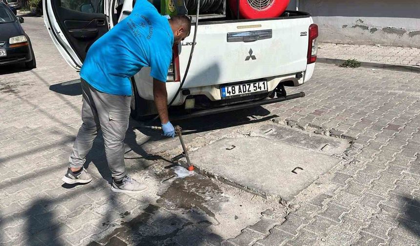 Germencik'te haşere ve zararlılara karşı etkin mücadele