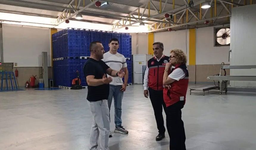İncir depolarında denetimler hız kazandı