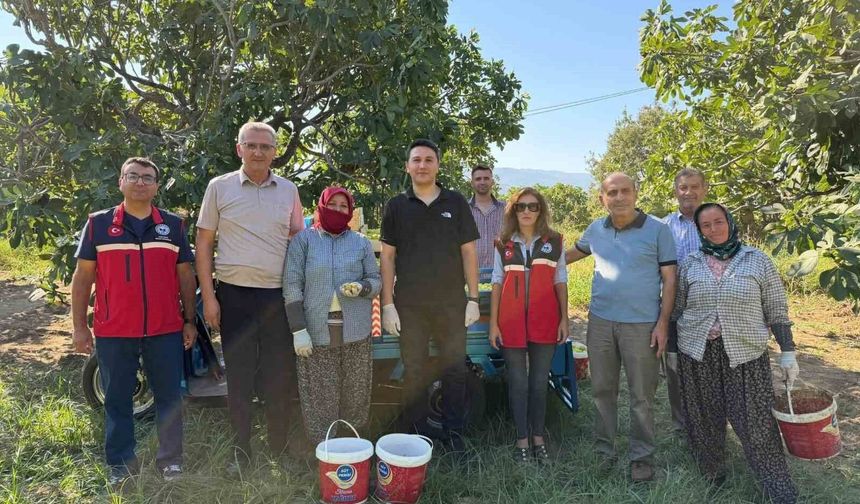 Kaymakam Haydaroğlu, Feslek'te incir üreticileriyle buluştu