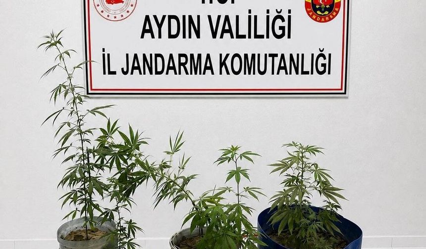 Kuşadası'ndaki uyuşturucu operasyonunda 3 şüpheli gözaltına alındı