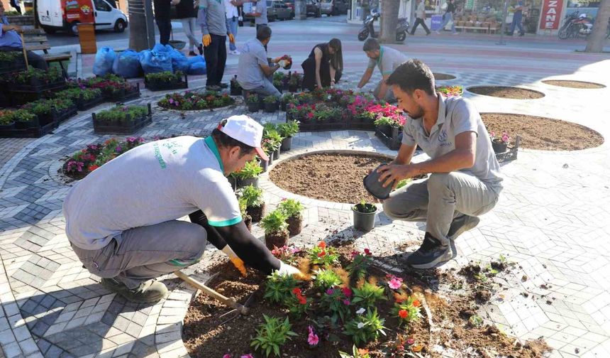 Nazilli Belediyesi kendi yetiştirdiği çiçeklerle Cumhuriyet Meydanı'nı süsledi