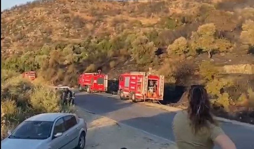 Söke'deki orman yangını kontrol altına alındı
