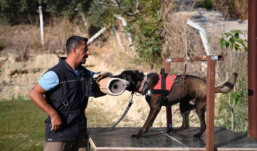 Yetiştirdiği kurtarma köpekleriyle doğal afetlerde birçok hayat kurtardı