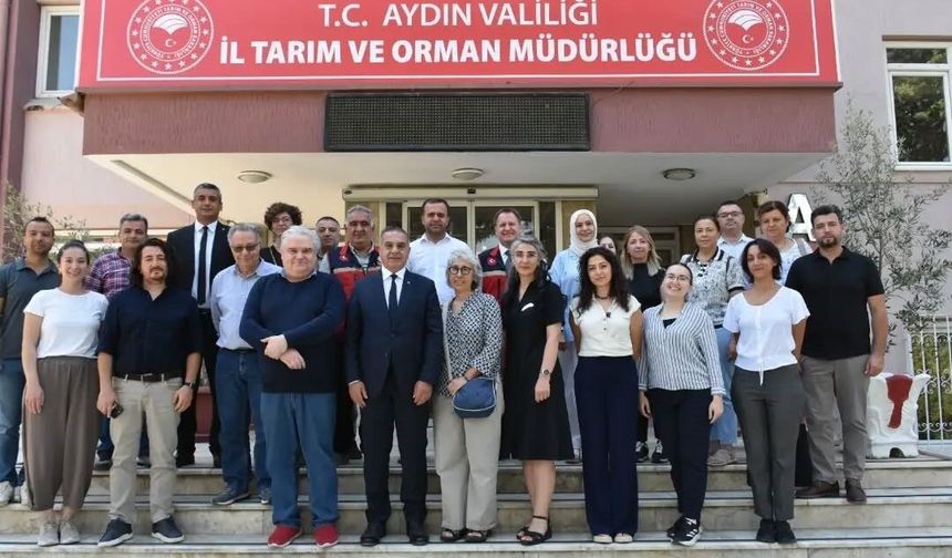 AB Misyon Heyeti Aydın incirindeki gıda güvenliğini mercek altına aldı