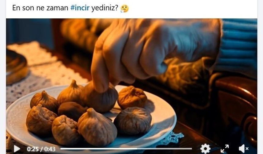 Başkan Çerçioğlu'ndan incir tanıtım filmi