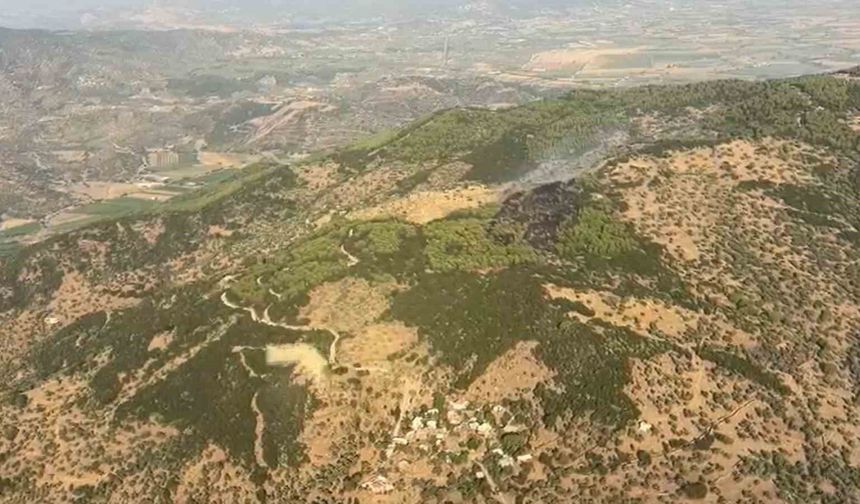 Çine'deki orman yangını kontrol altına alındı