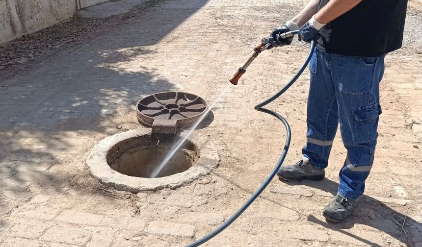 Didim Belediyesi vektörle mücadele çalışmalarını sürdürüyor