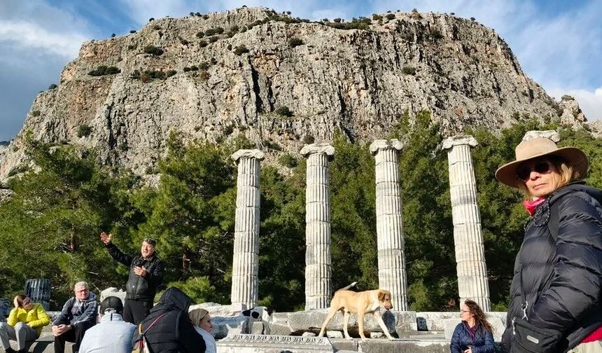 Doğaseverler, Anadolu'nun Pompeisi Priene Antik Kenti'ne dikkat çekti