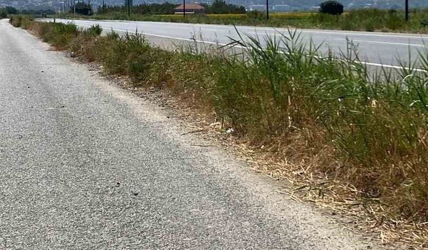 Ekiplerin hızlı müdahalesi ile alevler büyümeden kontrol altına alındı