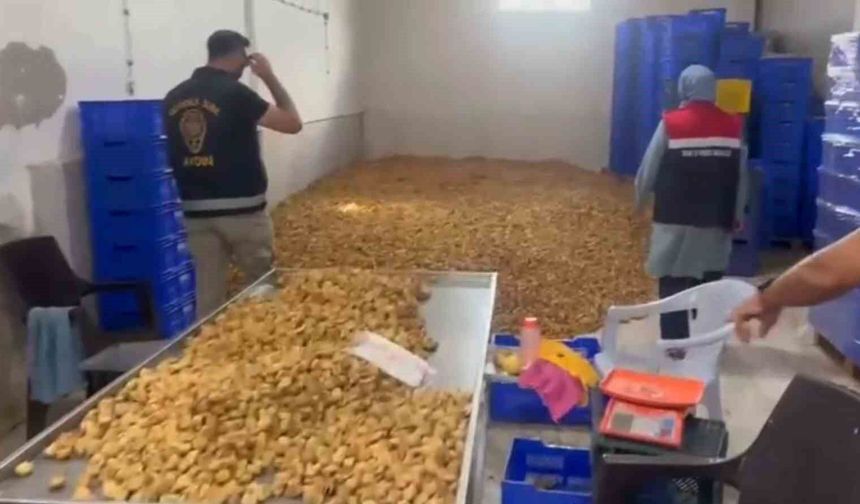 Köşk'te 20 milyon TL değerinde 25 ton etiketsiz kuru incir ele geçirildi
